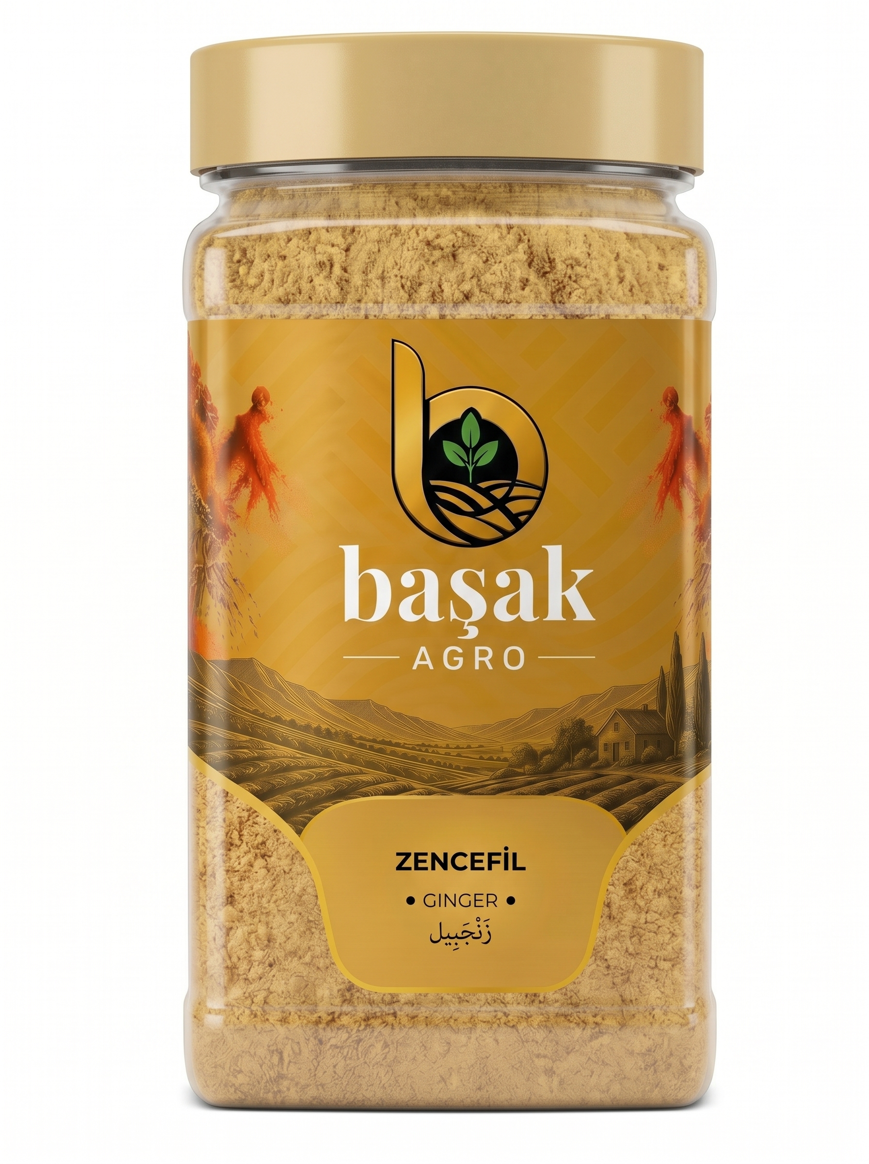 Zencefil