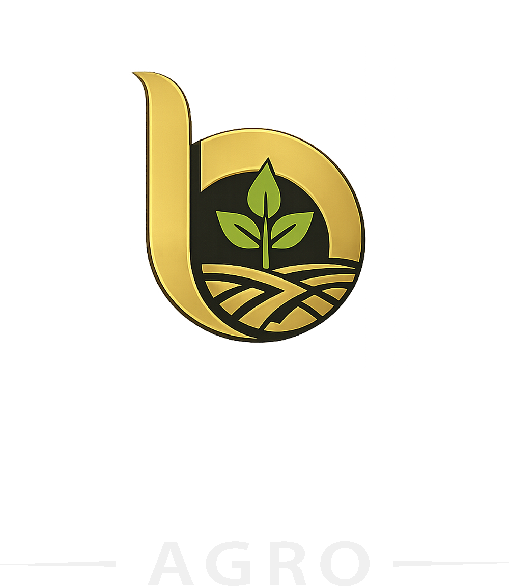 logo-img